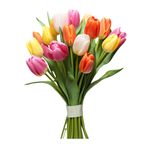 Colourfull Tulip Bouquet